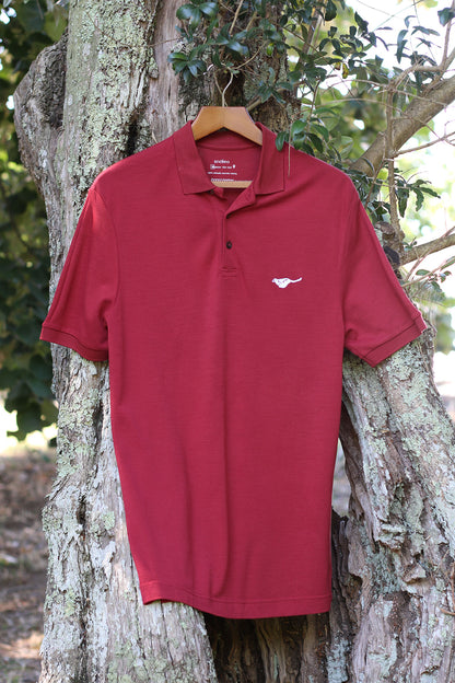 terra-red-biodegradable-pure-merino-wool-golf-polo-shirt-for men-by-snöleo.-hanging-in-olive-tree